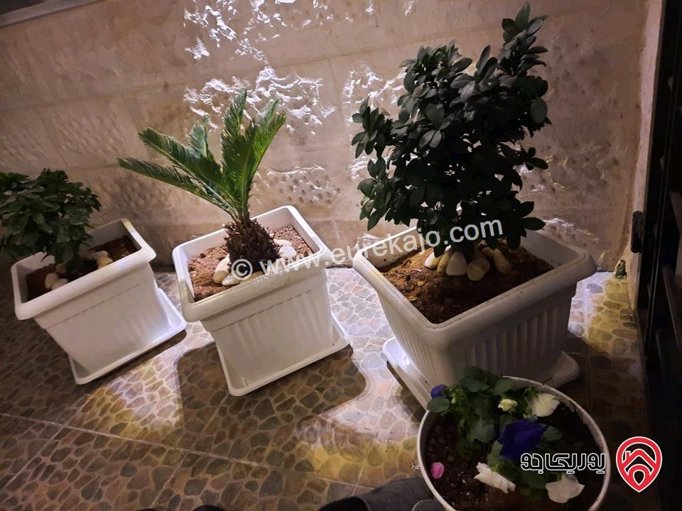 شقة أرضية مساحة 150م داخلي و 70م خارجي للبيع في عمان - ابو نصير