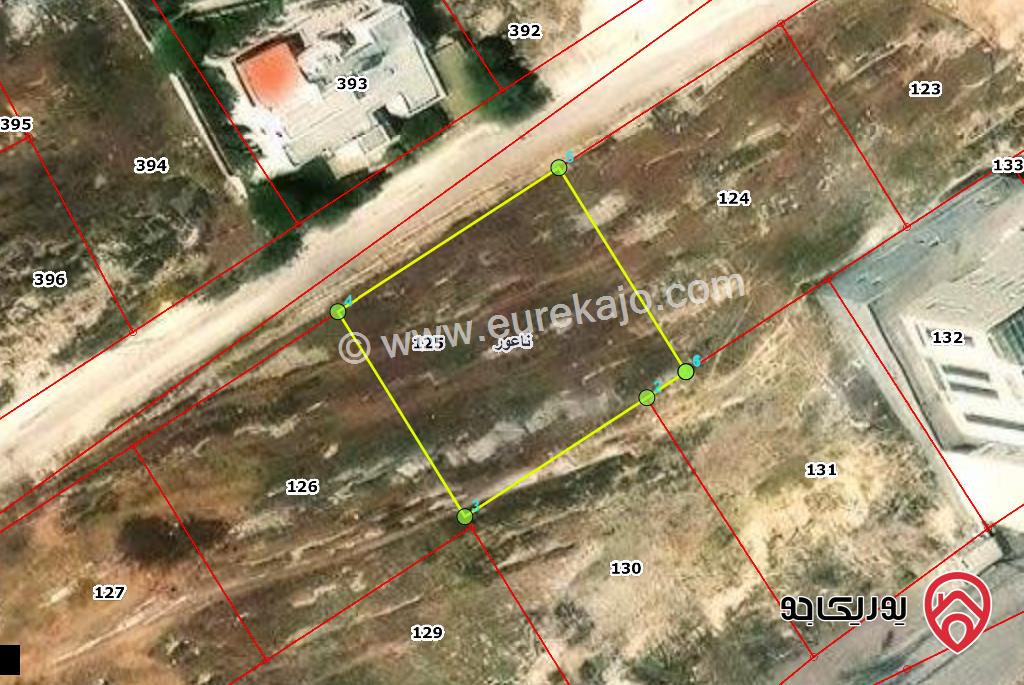 قطعة ارض مساحة 1 دونم و 20م للبيع فى عمان - منطقة ناعور - خلف قاعة بانوراما مباشرة - طريق البحر الميت 