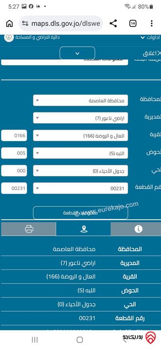 مزرعة زيتون مساحة الأرض 3 دونم و 400م للبيع في عمان - ناعور
