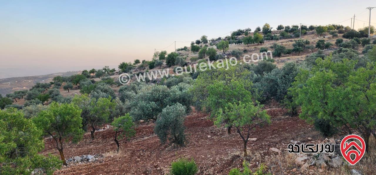 قطعة ارض مساحة 3483م للبيع في جرش - سوف بإطلالة خلابة وسط الطبيعة وهدوء الأحراش