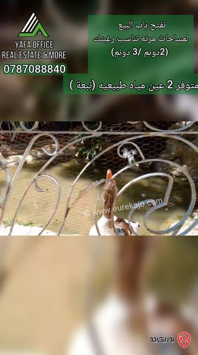 شاليه مميز مساحة الأرض 4 دونمات مشجرة بالكامل مع بناء 100م للبيع في عمان - البحاث