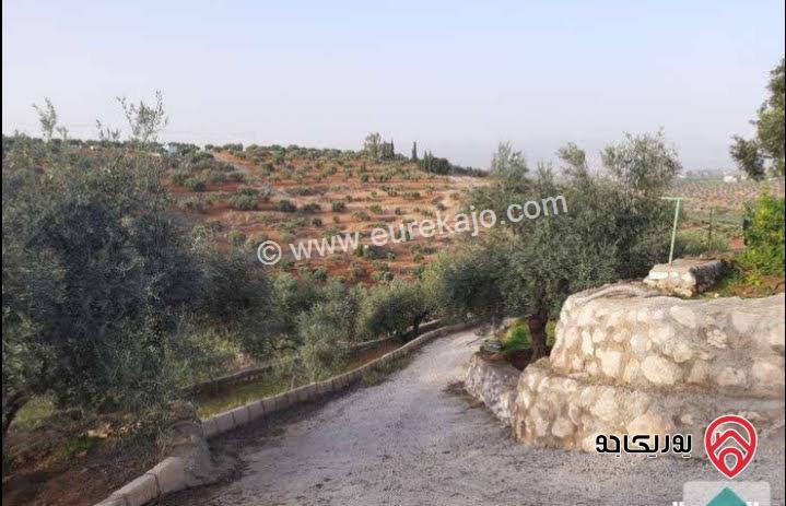 مزرعة زيتون مساحة الأرض 8 دونم و 588م و البناء مساحة 100م للبيع في السلط