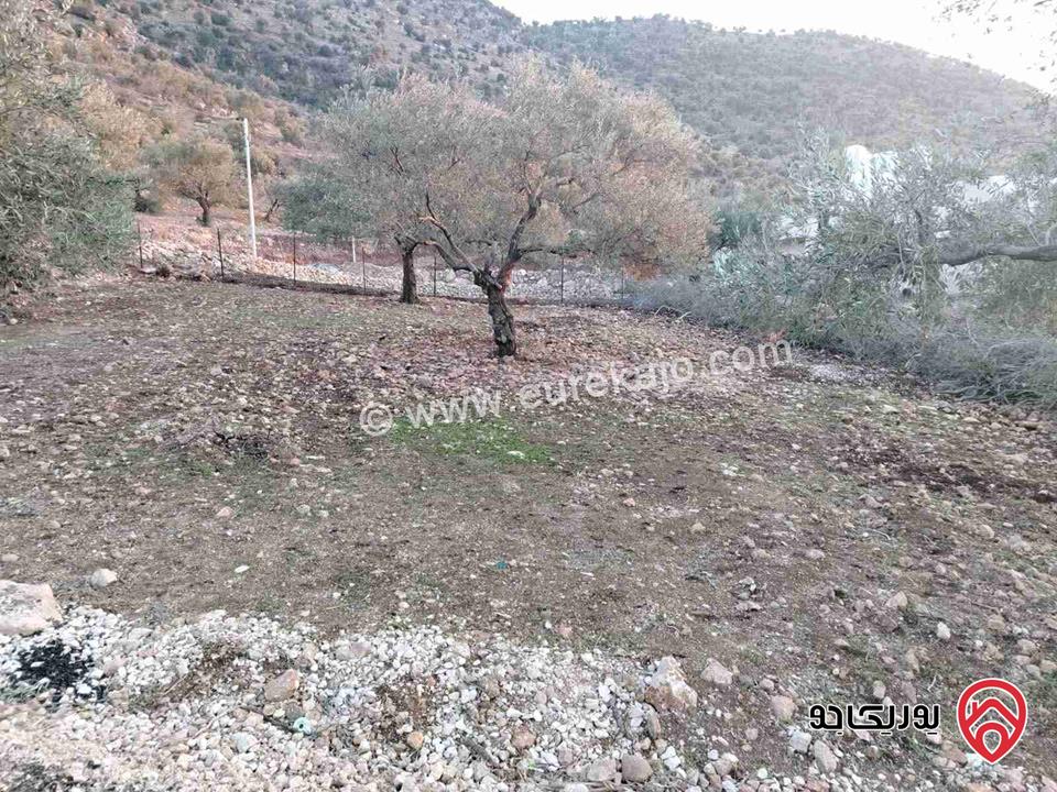 أرض مساحة 527م للبيع في عجلون كفرنجه 