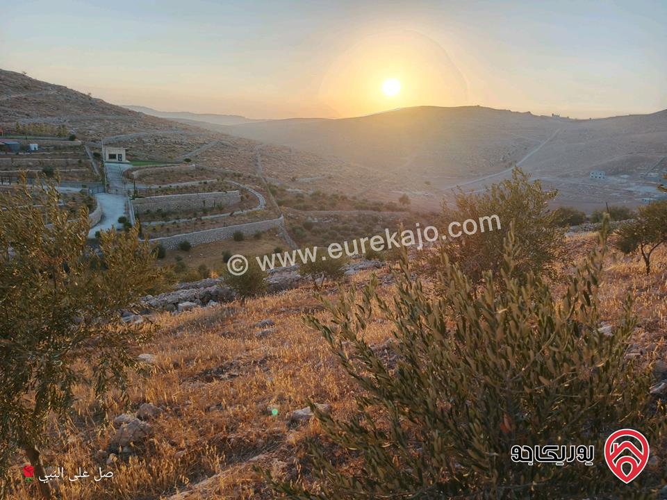 ارض مساحة 3 دونم و 400م للبيع من اراضي المفرق/قضاء رحاب موقع مميز مرتفعة ومطلة ومحاطة بشاليهات ومزارع بسعر مناسب