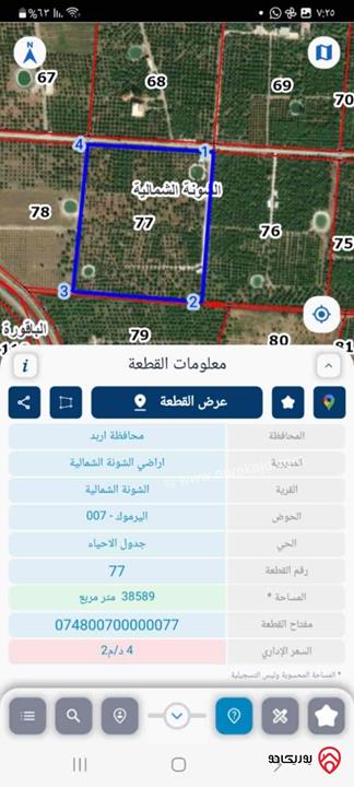 قطعة ارض زراعية مساحة 20 دونم مشجرة بالكامل بأشجار الحمضيات المختلفة وتحتوي على بركة زراعية وغرفة للبيع في الشونة الشمالية سعر الدونم 6 الاف 