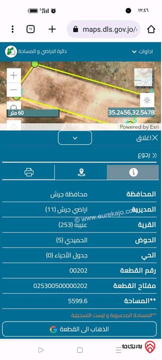 مزرعة مساحة 5600م للبيع من المالك مباشرة قوشان مسقل في جرش - عنيبه