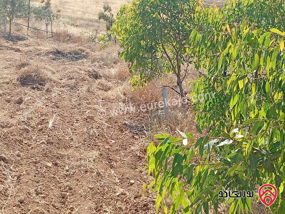 مزرعة مساحة الأرض 3 دونم و 400م بإطلالة للبيع في المفرق - بلعما