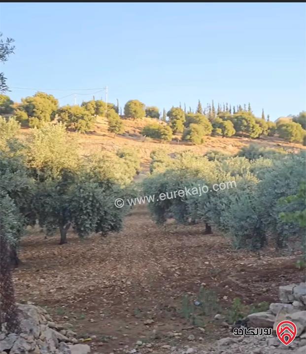 قطعة أرض مميزة جدا مساحة 5 دونم للبيع في السلط جلعاد 