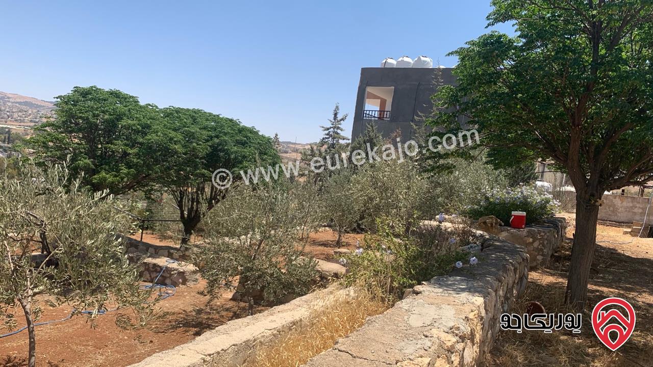 مزرعة مساحة الأرض 2 دونم للبيع بدون منزل في جرش حي الجبارات