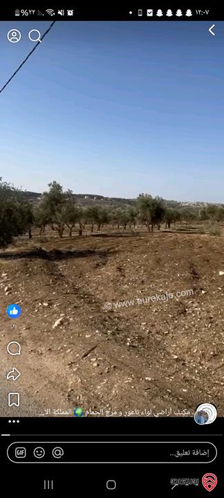 أراضي مساحة 3700م للبيع في عمان - ناعور حسبان مزروعة زيتون