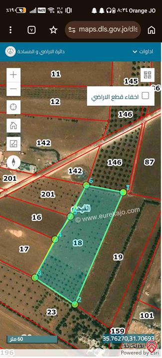 مزرعة زيتون مساحة 6 دونم و 500م للبيع في مادبا - الفيحاء