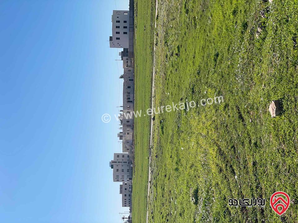 قطع اراضي سكنية بمساحات وأسعار مختلفة للبيع في عمان - بالقرب من شارع ال 100 رجم الشامي اراضي الموقر