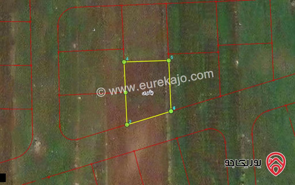 قطعة ارض مساحة 482م للبيع في اربد - بشرى شرق طريق عمان