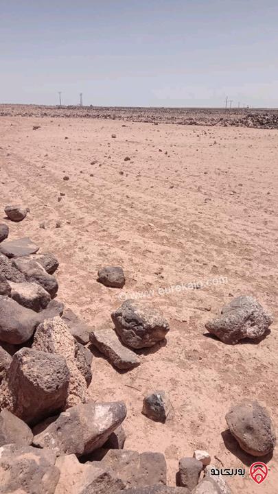 أرض مساحة 11 دونم للبيع في المفرق - الدفيانة