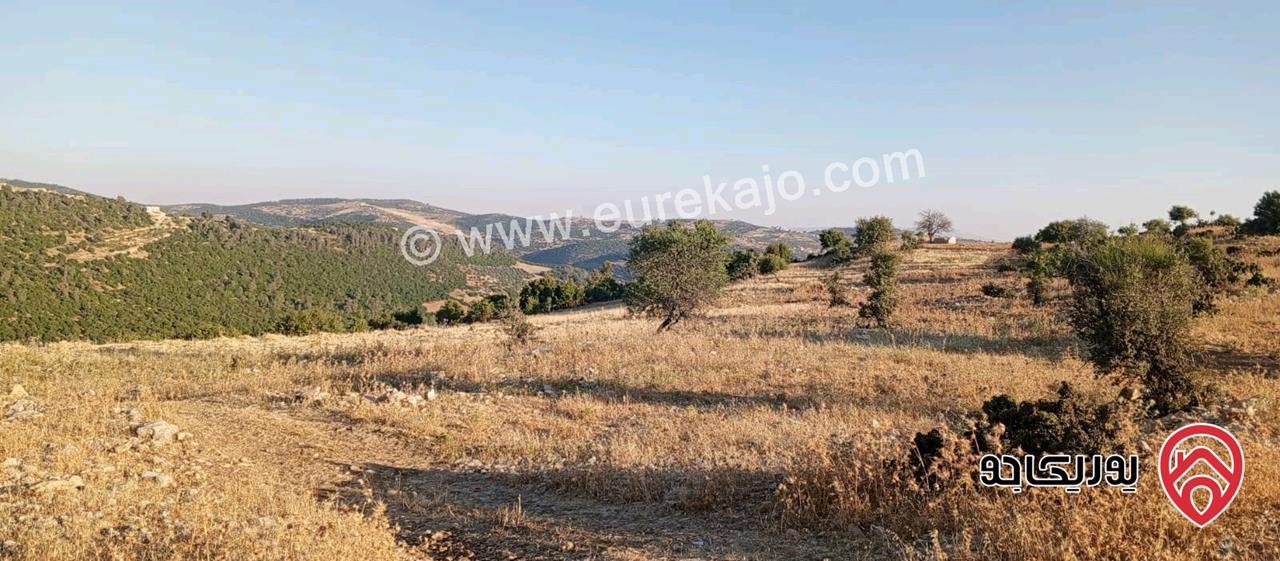 أرض مميزة مساحة 2 دونم للبيع في محافظة عجلون منطقة عنجرة / خربة الحنيش الأثرية 