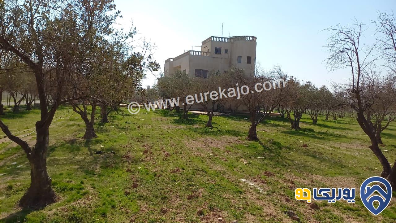 مزرعة مساحة الأرض 10 دونمات عليها بيت طابقين مساحة 440م للبيع في طريق المطار - قرية الزيتونه