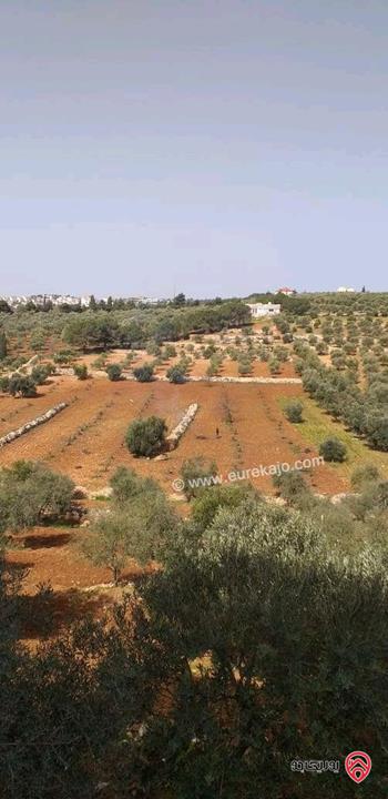 قطعة أرض مساحة 18 دونم للبيع في عمان - ناعور بلعاس 