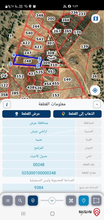 قطعة ارض مساحة 9 دونم و 384م للبيع في جرش - عنيبه 