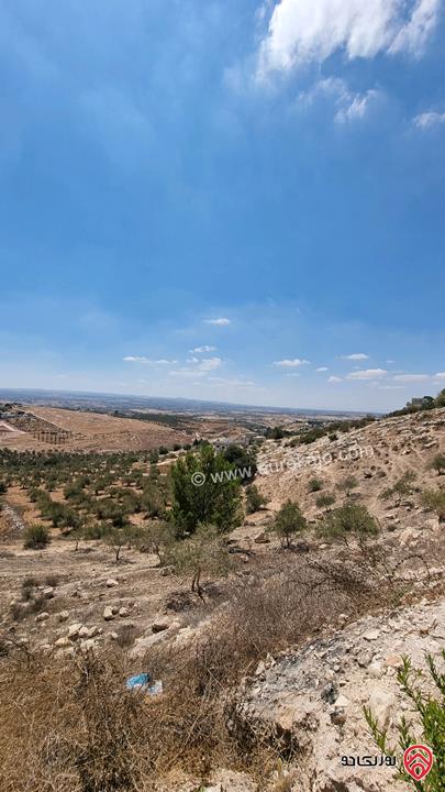 قطعة أرض مساحة 2 دونم و 892م للبيع من أراضي بني كنانة اربد - في سما الروسان