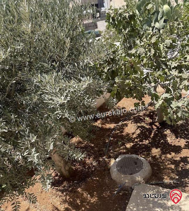 فيلا مساحة 420م على أرض 784م للبيع في عمان - طبربور       	 