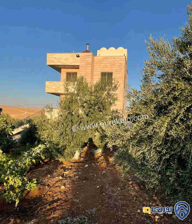 مزرعة في القنية اطلالة عاليه وخلابه مشجرة بالاشجار المثمرة بمساحة 6800م