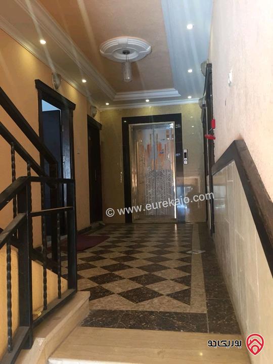 شقق مفروشة للايجار في اربد شارع الجامعة 