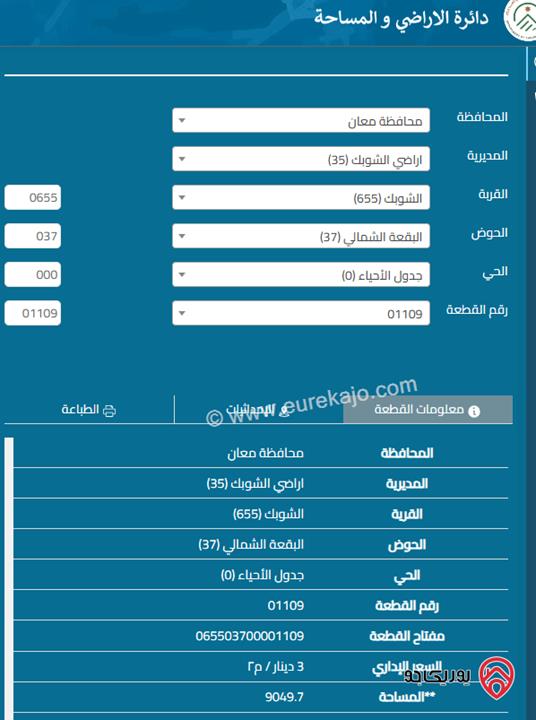قطعة أرض مساحة 9 دونم و 49م للبيع في - الشوبك بجانب التنظيم