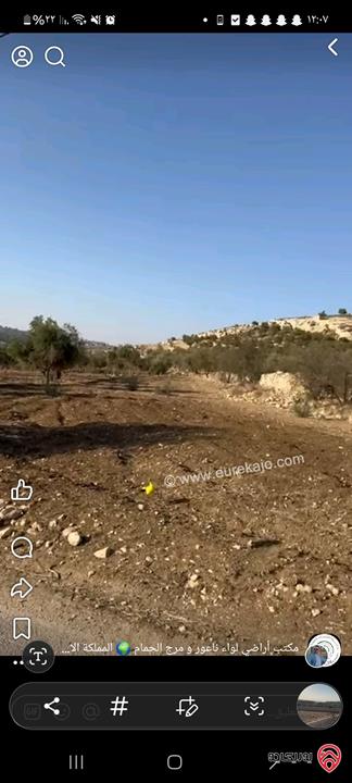 أراضي مساحة 3700م للبيع في عمان - ناعور حسبان مزروعة زيتون