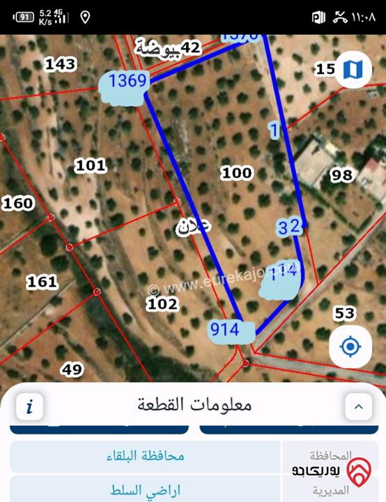 أرض للبيع في السلط - علان مساحة 6685م  