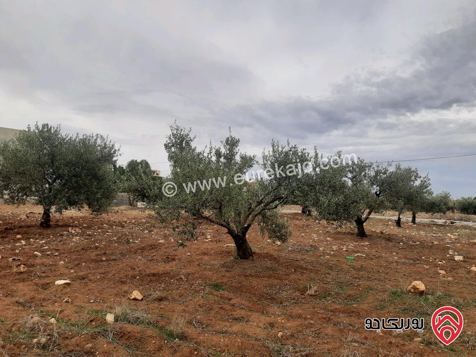 أرض مساحة 1 دونم و 74م للبيع في جرش سلحوب تبعد عن شارع الاردن تقريبا 2 كيلومتر، جميع الخدمات متوفرة ع شارع 12م