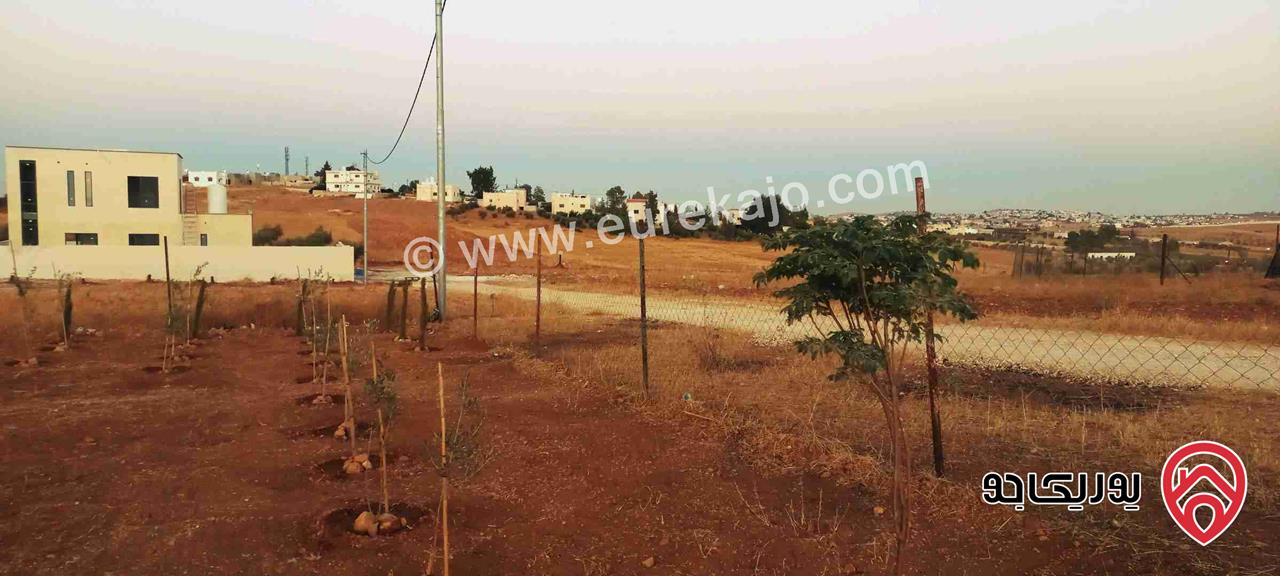قطعة أرض مساحة 700م للبيع في المفرق