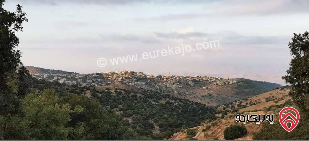 قطعة ارض مساحة 11 دونم و 688م للبيع في عجلون 