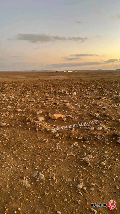 قطعه أرض مساحة 3 دونم و 400م للبيع من أراضي جنوب عمان - خان زبيب