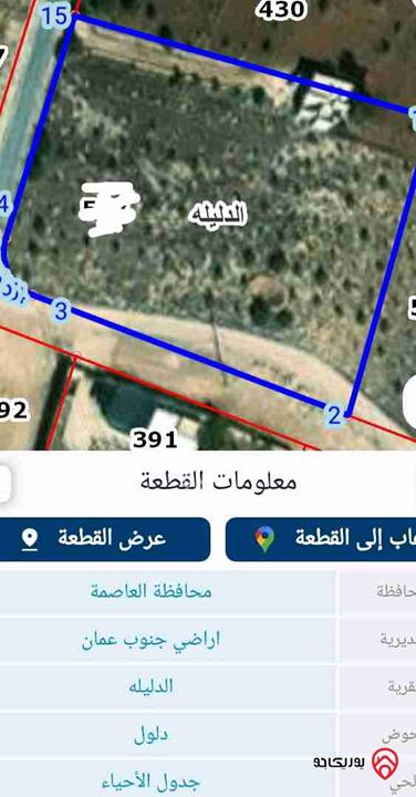أرض 6 دونم مزروعات زيتون للبيع في عمان - الدليلة