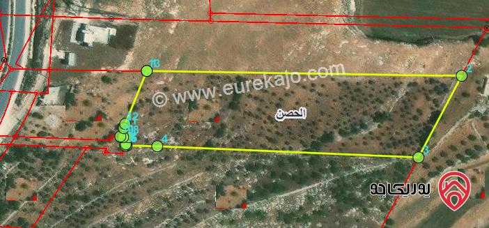 ارض للبيع مساحة 12624م في اربد - حوض بيضاة السلالم