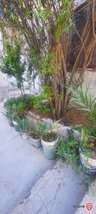 عمارة سكنية مميزة عبارة عن 3 طوابق على أرض 609م للبيع في عمان - منطقة جبل عمان 