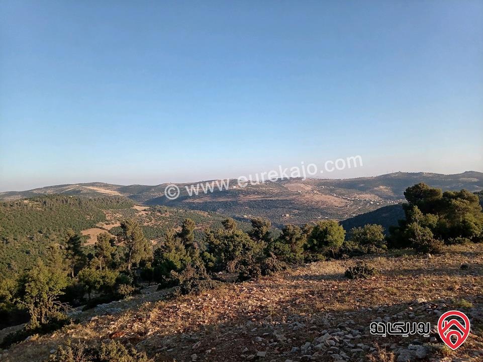 أرض مميزة مساحة 2 دونم للبيع في محافظة عجلون منطقة عنجرة / خربة الحنيش الأثرية 