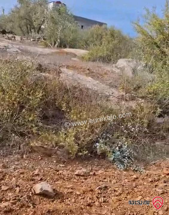 أرض مساحة 5 دونم و 603م للبيع في اربد - ملكا