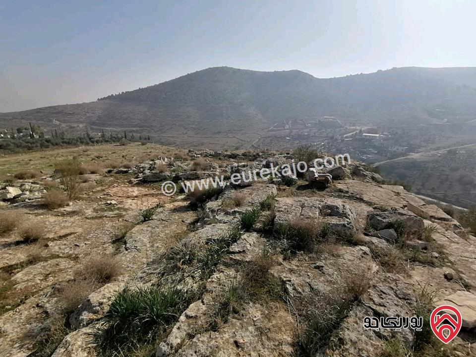 أرض مساحة 4 دونم و 629م للبيع من المالك مباشرة في الزرقاء - بيرين الخلة مقابل مسجد الخلة