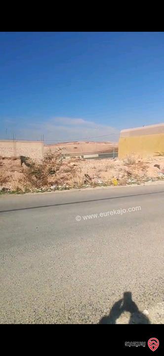 قطعة أرض مميزة جدا مساحة 288م للبيع في البحر الميت - الروضة منطقة شاليهات