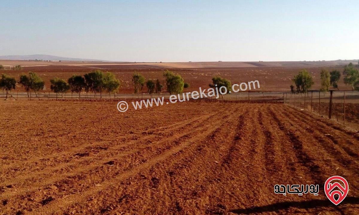 قطعة ارض مساحة 2 دونم و 274م للبيع في عمان - مرج الحمام حوض الدمينه
