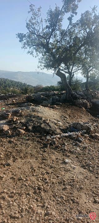 أرض مساحة 650متر للبيع في عمان - ابو السوس أسكان المهندسين