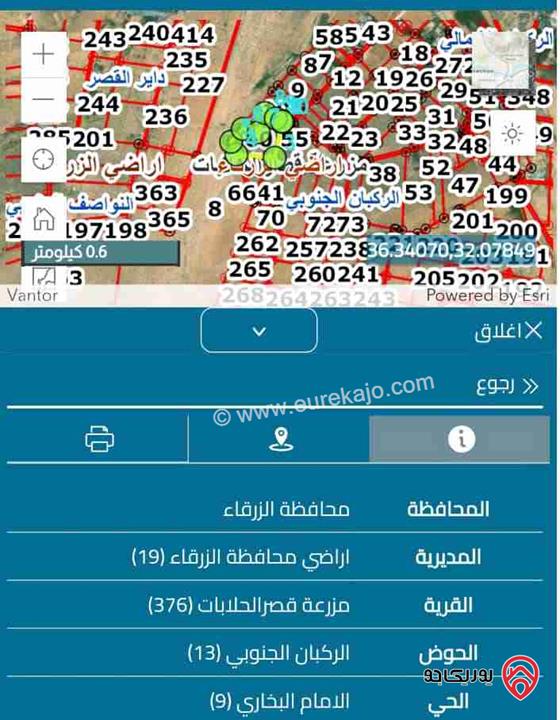 أرض مساحة 10 دونم للبيع في الزرقاء - قصر الحلابات 