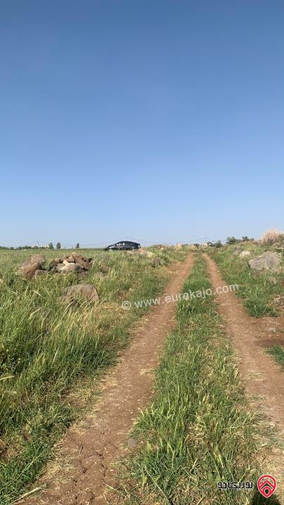 قطعة ارض مساحة 10 دونم للبيع شمال مدينة اربد منطقة ام قيس