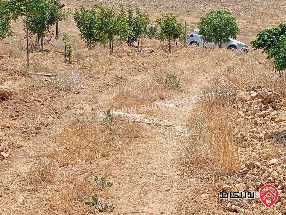 مزرعة مساحة الأرض 3 دونم و 400م بإطلالة للبيع في المفرق - بلعما
