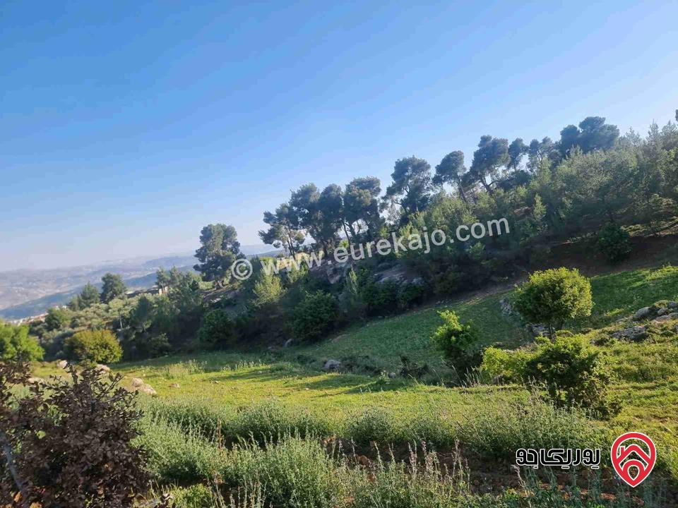 مزرعة جميلة جدا مساحة 18000م للبيع في جرش الكته حوض المحافير 