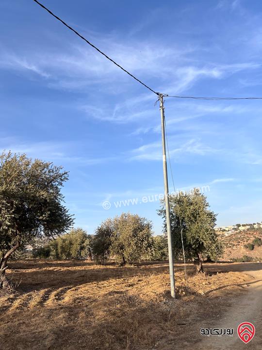 مزرعة مساحة الأرض 6 دونم و 500م للبيع في جرش منطقة جمله قريبة من محمية دبين اطلاله جميلة جداً وسعر حرق وربنا يبارك لصاحب النصيب