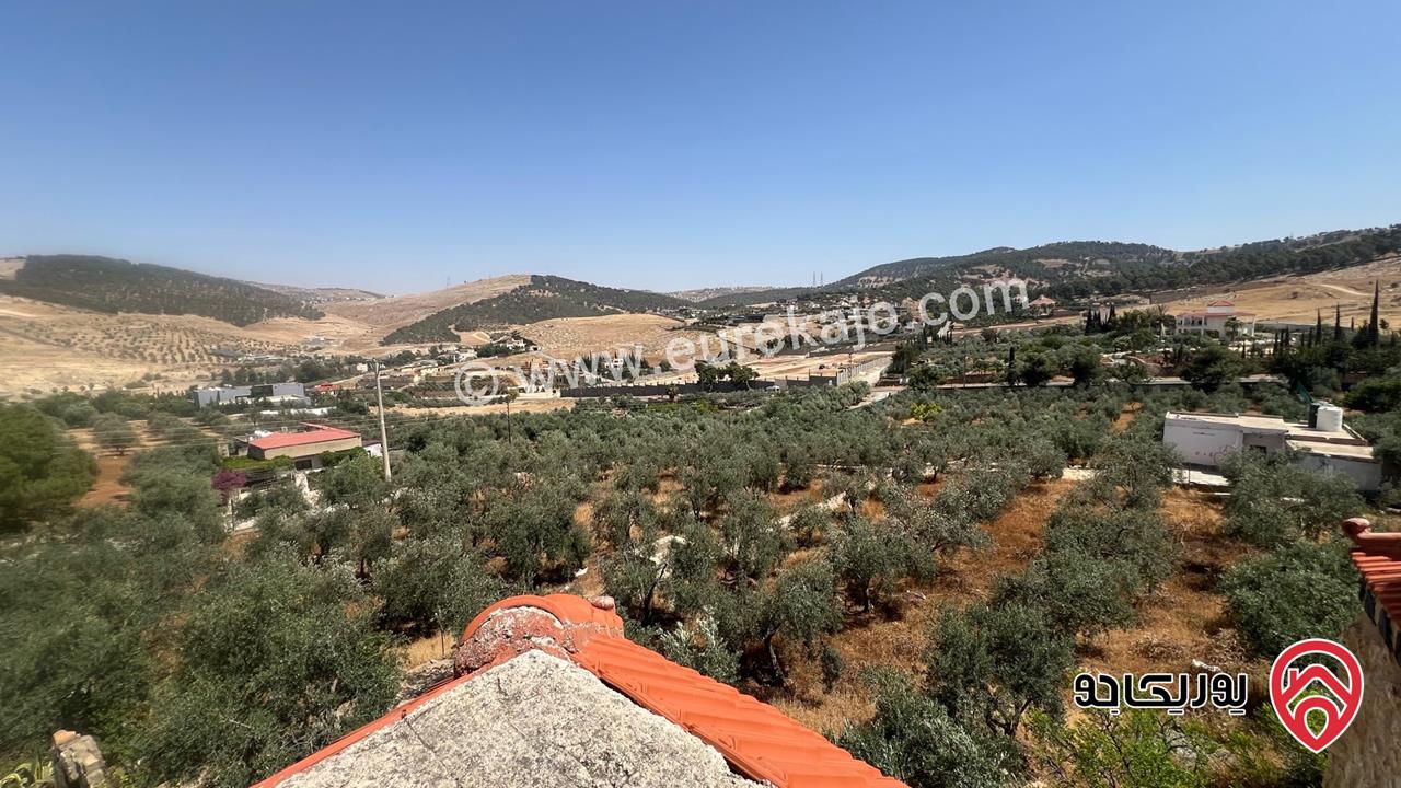 مزرعة مساحة 9 دونم و 708م للبيع في البلقاء - بمنطقة تل الرمان بالقرب من مطعم خيل و ليل 