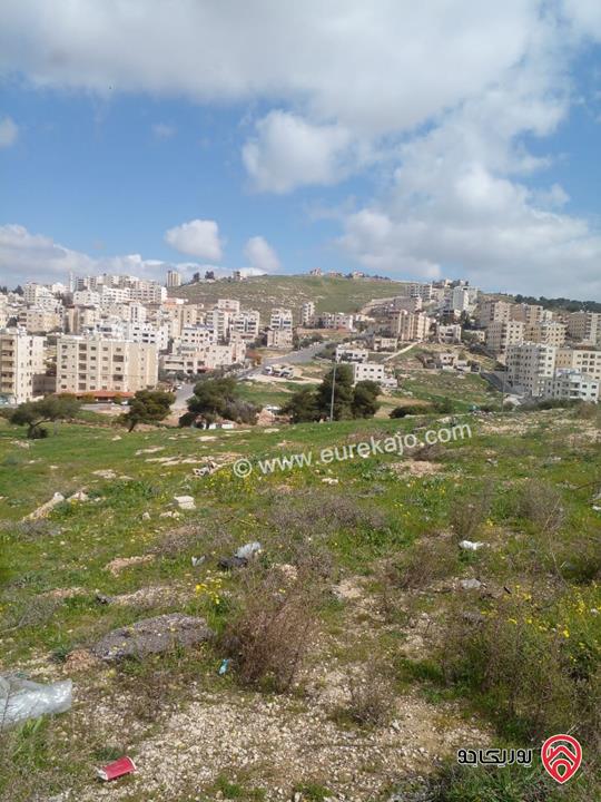ارض مساحة 750م للبيع في عمان - ياجوز الدفيانه