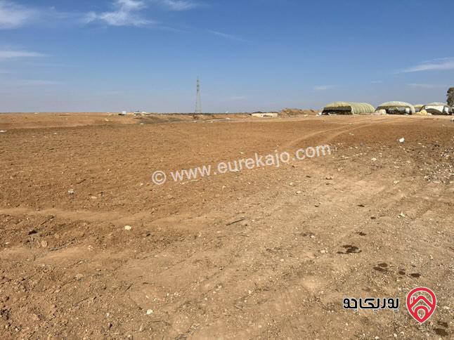 قطعة أرض مفروزة مساحة 3 دونم و 800م للبيع في مادبا - حواره